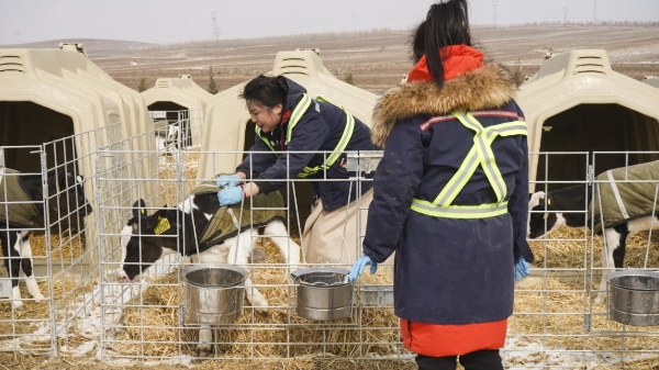  《求职高手女性职场季》现代畜牧之旅